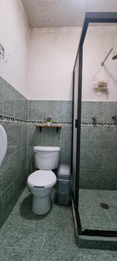 墨西哥城 Hom Roma酒店 外观 照片